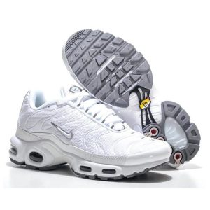 Nike air max TN Shoes