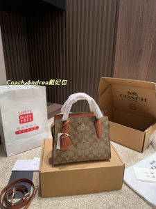 Coach Andrea Bag