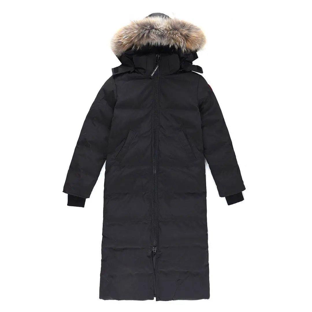 Canada goose Down Jacket